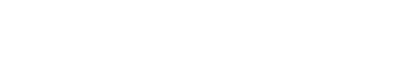 WPScan Online